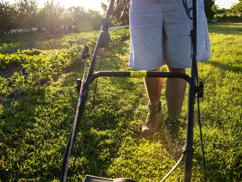 Someone mowing a lawn in the sun