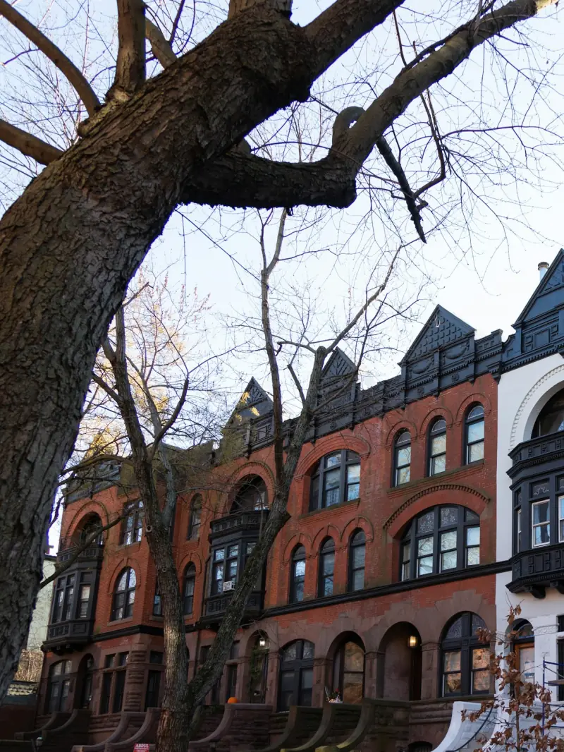 A row of Park Slope brownstones with red brick, Italianate pediments, and mature trees overhead